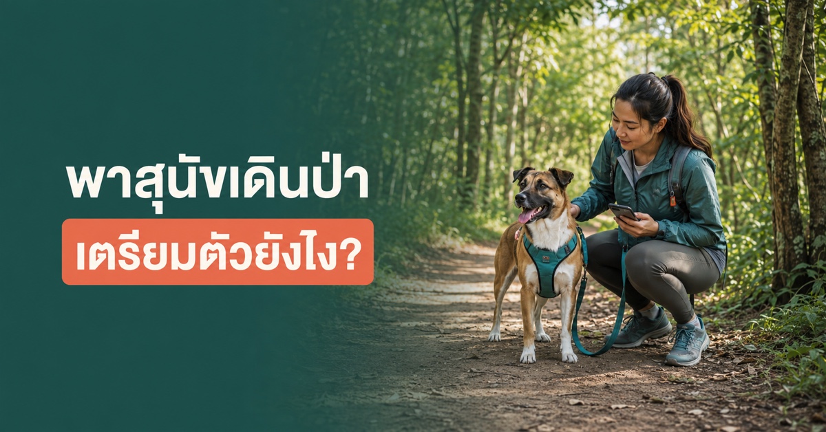 ผู้เลี้ยงและสุนัขบนเส้นทางเดินป่า