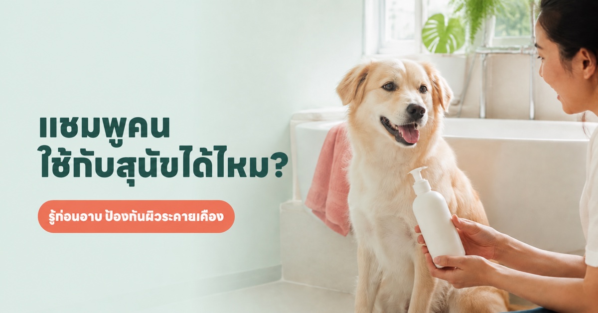 สุนัขข้างอ่างอาบน้ำ
